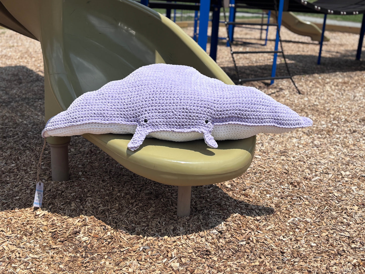Extra Large Stingray